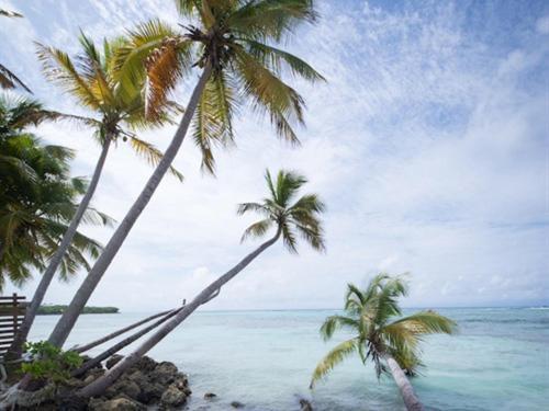 Coco Beach Marie-Galante Grand-Bourg  外观 照片